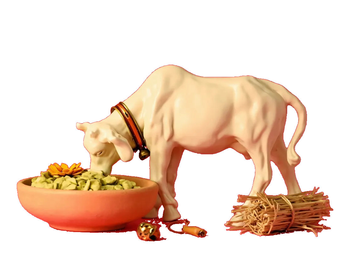 A cream cow beside a terracotta bowl of fresh fodder